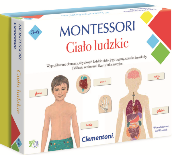 Montessori. Ciało ludzkie