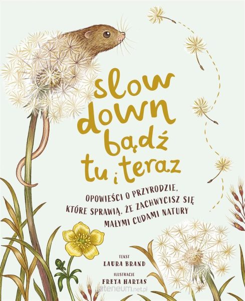 Slow Down. Bądź tu i teraz