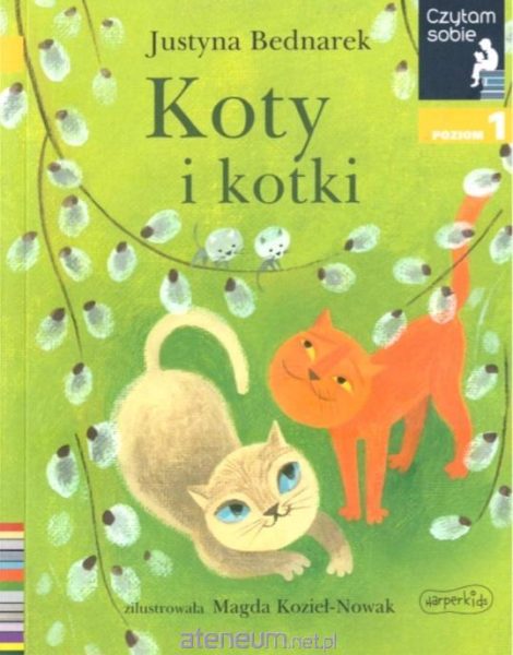 Czytam sobie – Koty i kotki