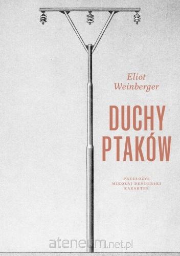 Duchy ptaków