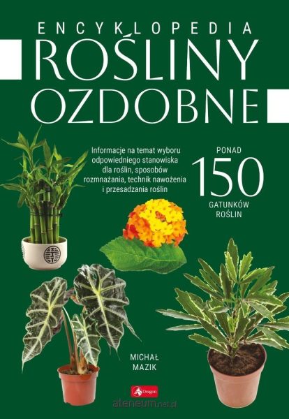 Rośliny ozdobne